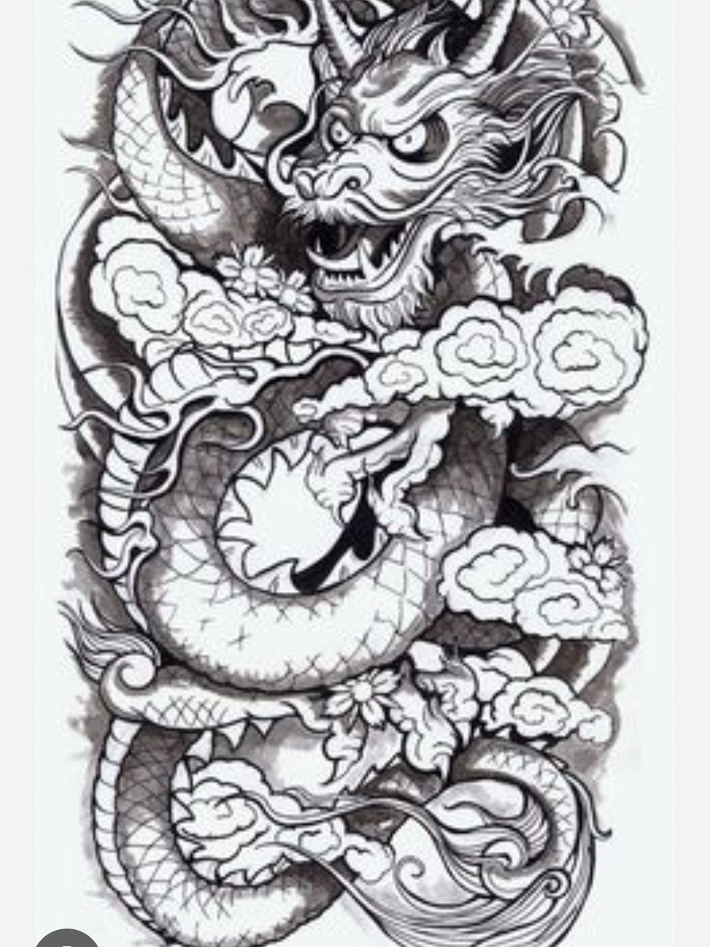 Dragon Illustration - Temporary Tattoo